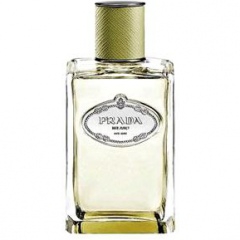 Infusion de Vétiver